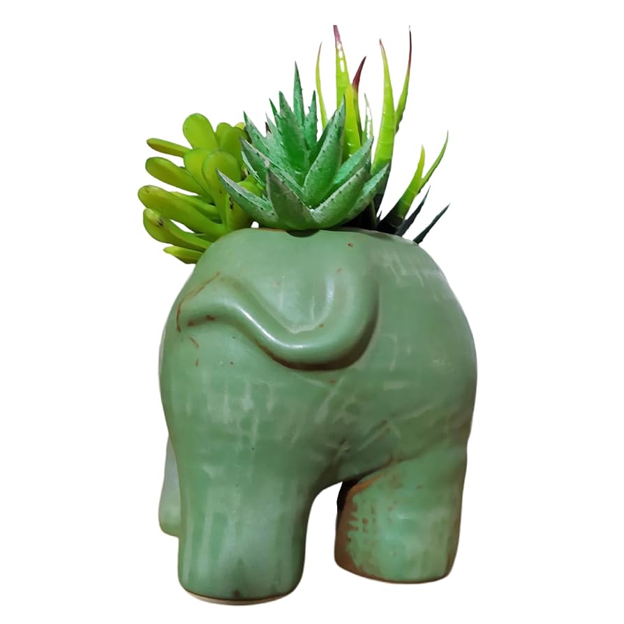 多肉 ソファー型プランター 81e3OXJNtzL._UF350,350_QL80_.jpg