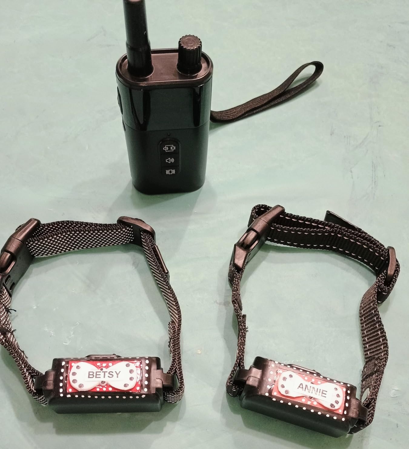 SODOG remote with belt clip and wrist strap