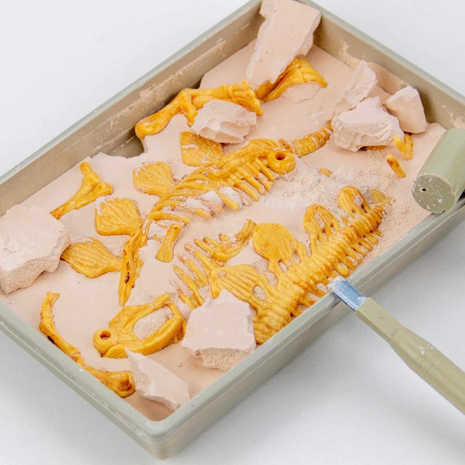 Science4you Stegosaurus Fossil Digging Kit for Kids - Excavate and Assemble 10 Stegosaurus Dino Bones - Ideal Dinosaur Excavation Kit, Archeology, Paleontology Toy for Kids Age 6 7 8+