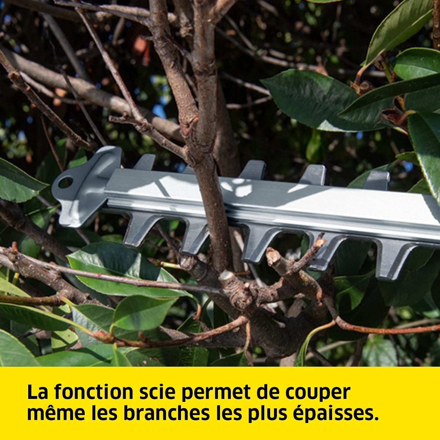 Kärcher 18 V Taille-Haies sans Fil HGE 18-50, Longueur de Coupe : 50 cm, Lame Affûtée au Diamant, Poignée Orientable, Collecteur de Déchets, Autonomie : 325-650 m, Batterie Kärcher 18 V non Incluse