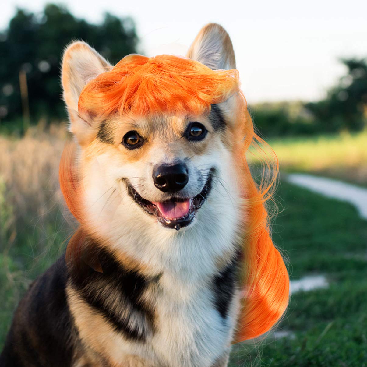 minkissy 5 stks huisdier pruik kleine hond accessoires halloween kostuum voor honden nette bang styling pruik kat haar accessoire huisdier grappige honden halloween kostuums huisdier hond