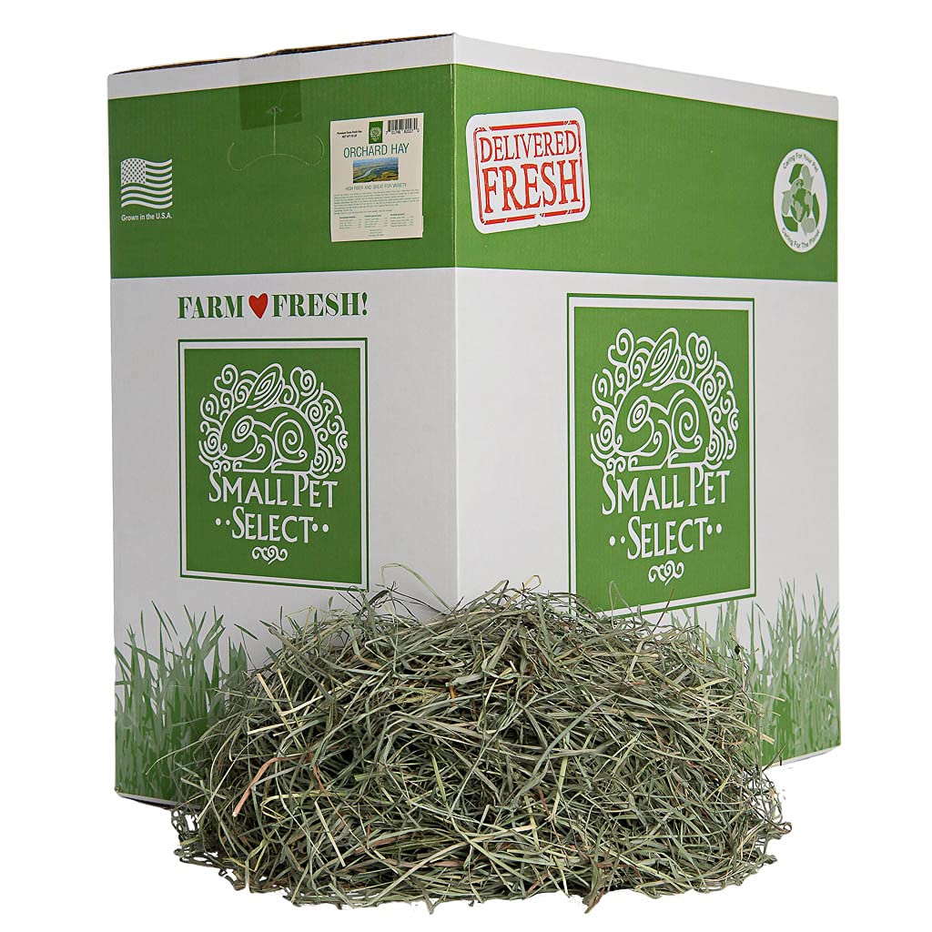 Small Pet Select Orchard Grass Hay Pet Food for Rabbits, Guinea Pigs, Chinchillas and Other Small Animals, Premium Natural Hay Grown in The US, 50lb (22.68kg)