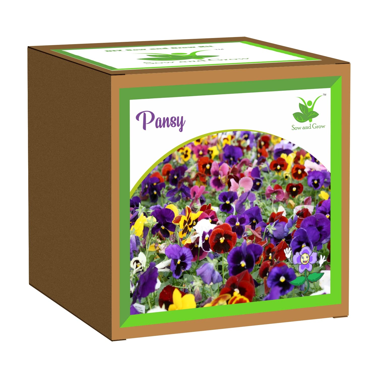 Sow and Grow Seed Starter Grow Kit of Pansy Flower || for temperatures 15-25 Degrees || DIY Easy Grow it Yourself Gardening Kit for Home and Garden || A Complete Beginner Gardeners Set-image-28