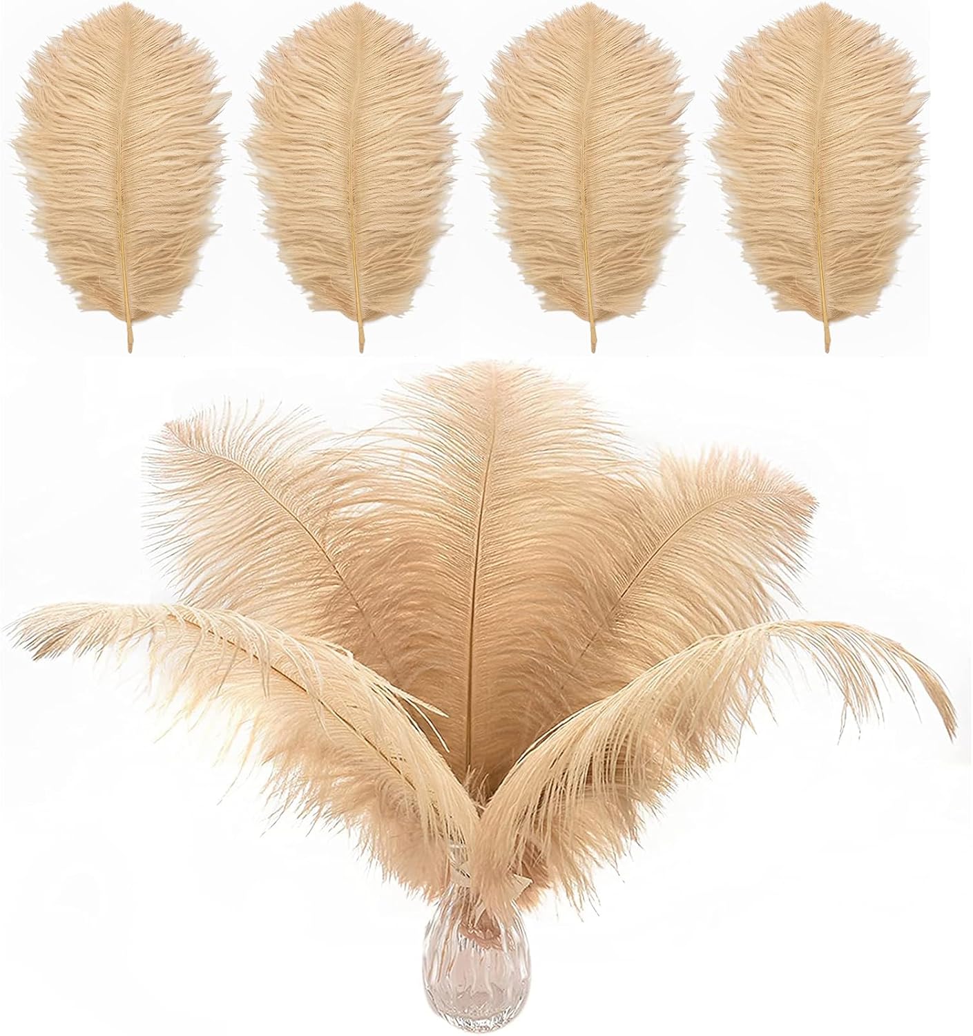12pcs Ostrich Feathers, Long Feathers for Vases, Natural 1012inch(25