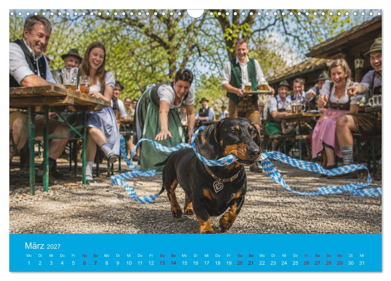 Calendrier 2027 · Teckels, bière et bretzels