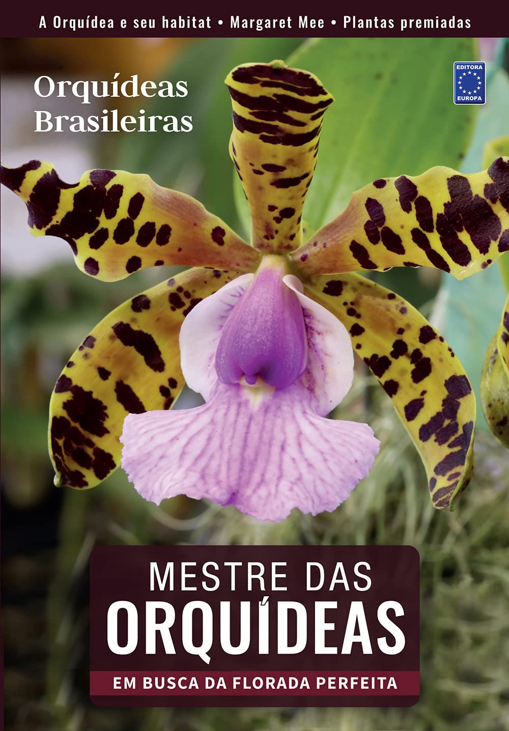 Mestre das Orquídeas - Volume 2: Orquídeas Brasileiras | Amazon.com.br
