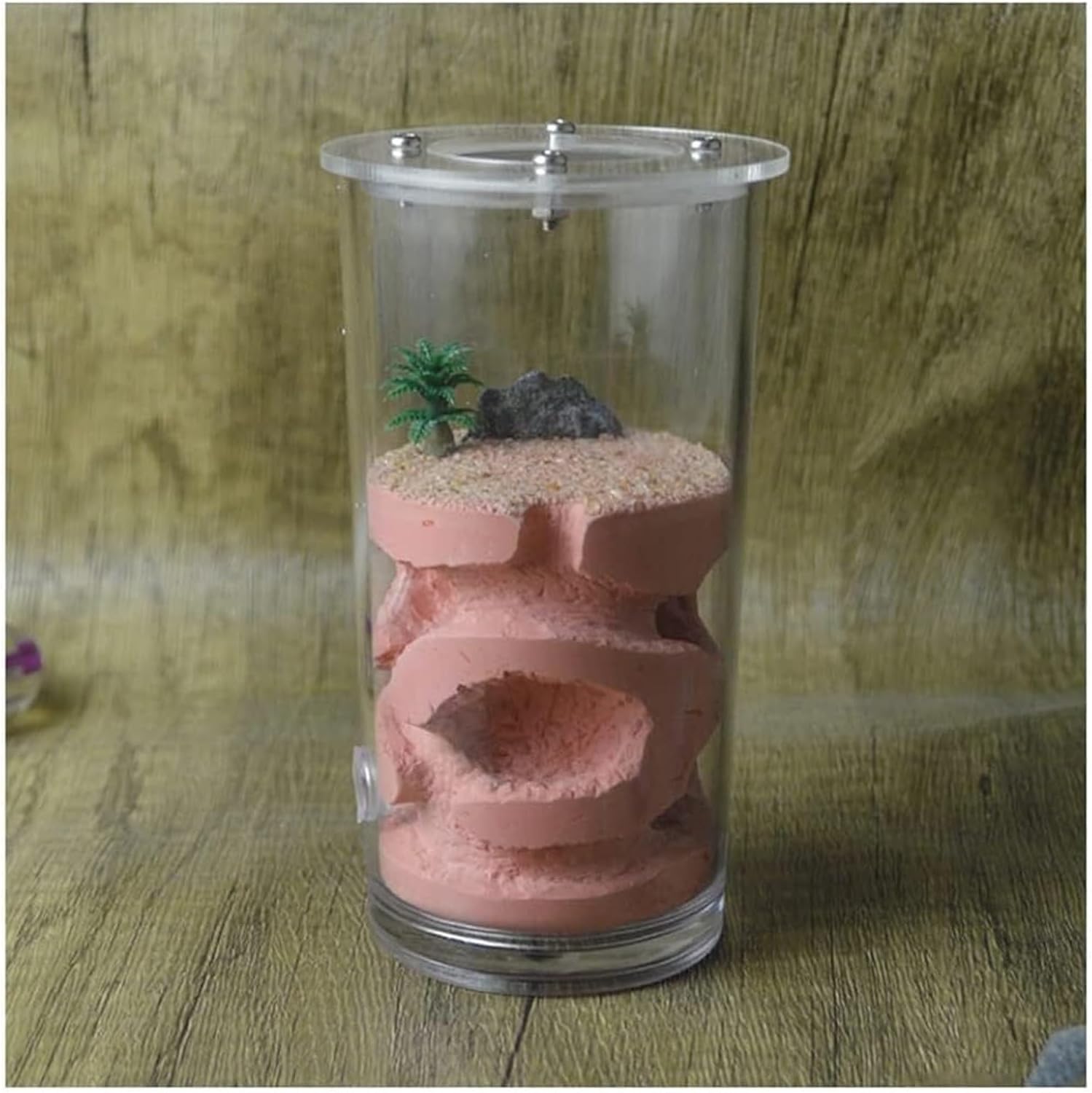Ant Farm Ant Nest Farm Goblet Plaster Castle Feeding Hydrating Habitat Habitat(Red)