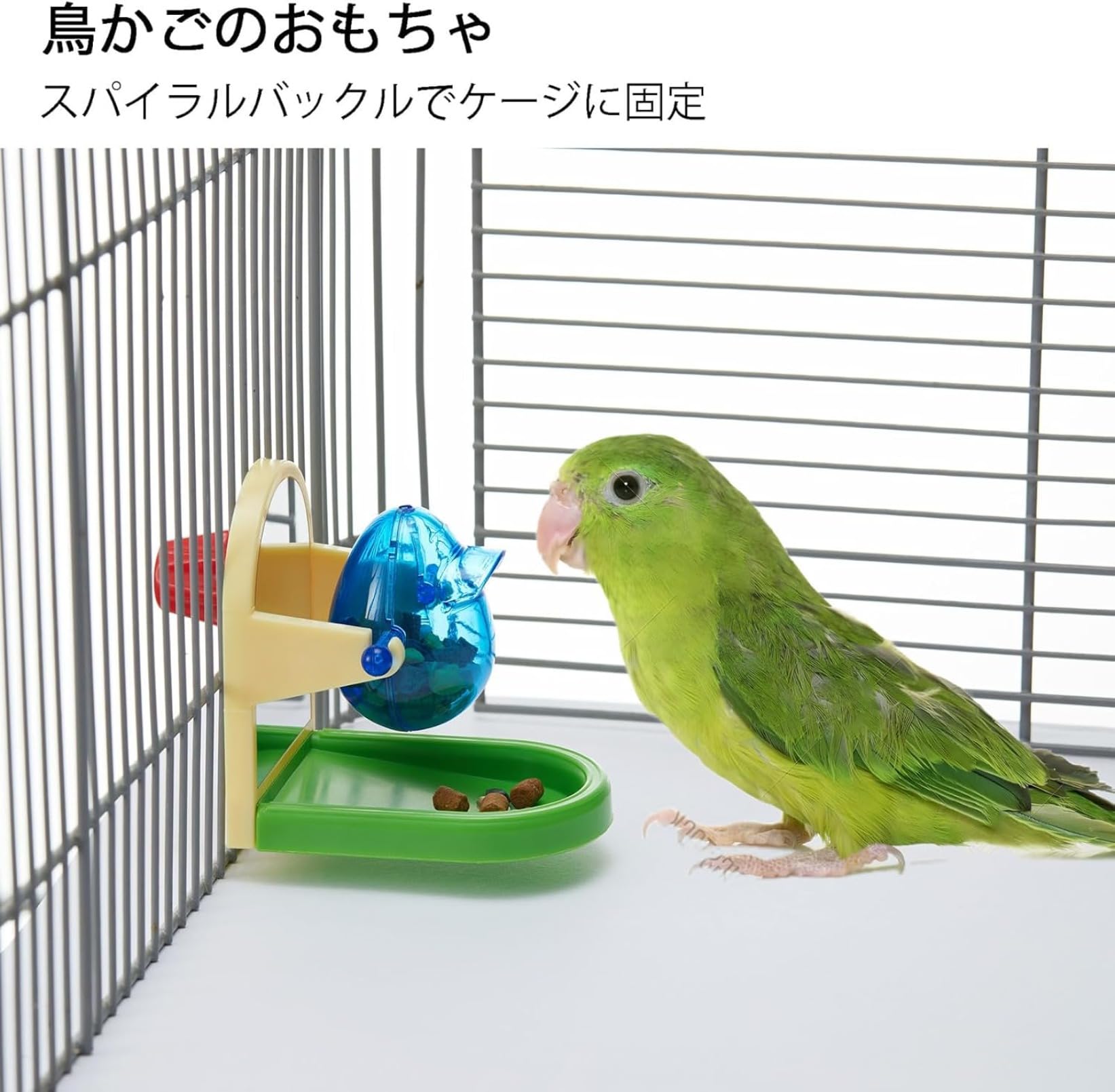 Amazon | Rtwrsud フォージングトイ 鳥 インコ おもちゃ 知育玩具