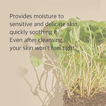 mixsoon Centella Cleansing Foam Face Wash with Cica, Low pH Cleansing and Soothing for Face, Hydrating Formula 150ml / 5.07 fl. oz. Korean Glass Skin Care
