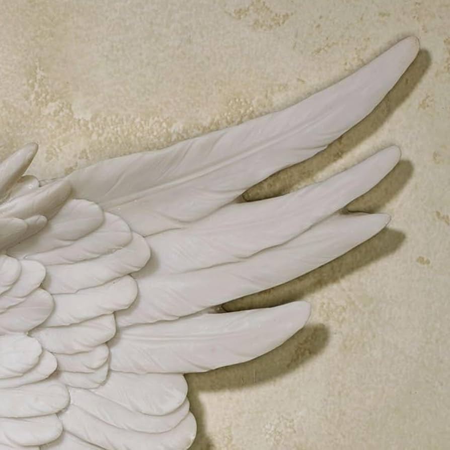  バード　 Dove Avian-X POWERFLIGHT Spinning Wing Dove, Decoys - Amazon Canada