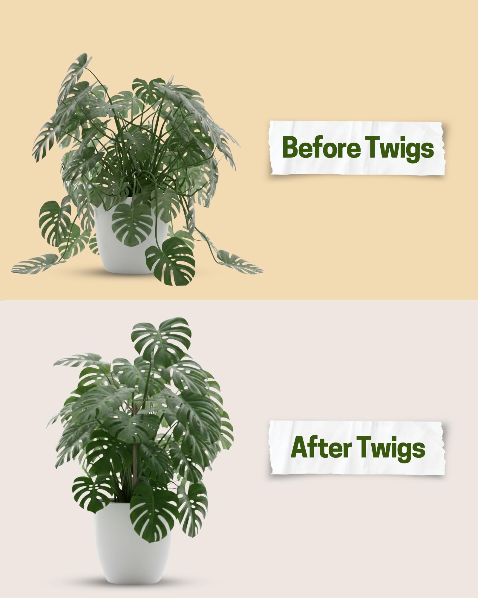Twigs GA - Lot de 10 piquets de support empilables pour plantes d'intérieur, supports esthétiques pour plantes en pot, compositions florales et plus encore - Monstera (vert foncé) - 43,2 cm de long,