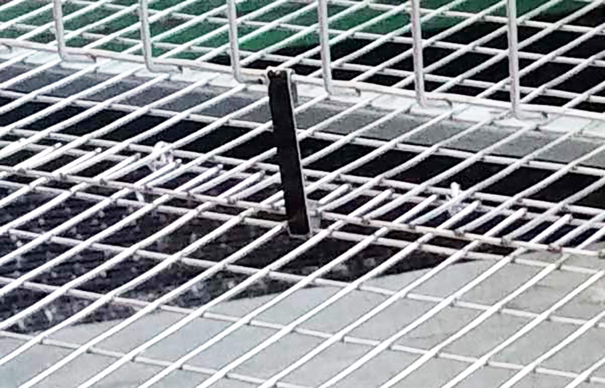 Gabbia Sovrapponibile in Rete Zincata per Quaglie Ingrasso (40-50 Capi). Max Ingombro cm 46 x 100 x H 50. In Omaggio Abbeveratoio e Mangiatoia Supplementari