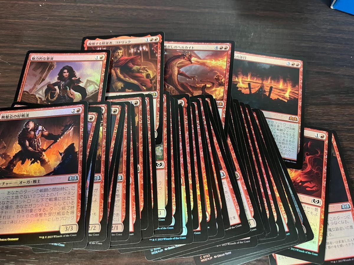 エルドレインの森　FOIL コンプリートセット　日本語 MTG】エルドレインの森のアニメ・ボーダーレスFoilと
