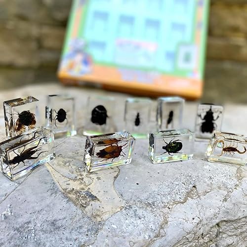 Vista 3 de Geoworld - Juego de 10 especímenes de insectos, escarabajos reales, escorpiones, grillos en resina con lupa y folleto, ideal para proyectos