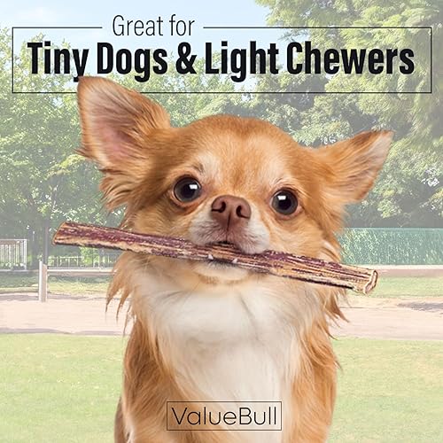 Miniatura 2 de ValueBull Bully Sticks para perros pequeños, extrafinos de 6 pulgadas, 50 unidades, golosinas naturales para perros, 100% carne de res, alternativa