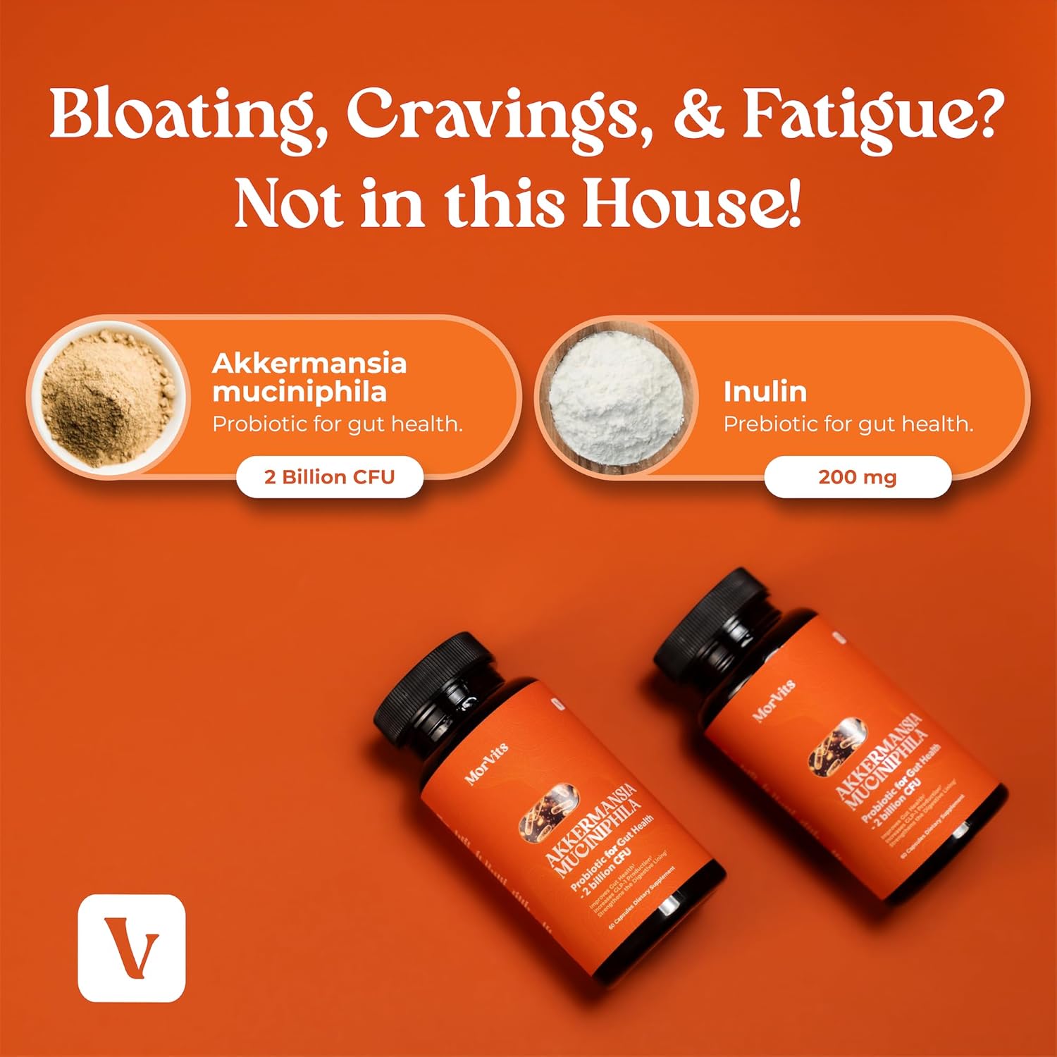 Akkermansia Probiotic for Cravings & Gut Health | GLP-1 Support Supplement with Akkermansia Muciniphila – 2 Billion CFU, Inulin Prebiotic Fiber – 60 Capsules, 1 Pack