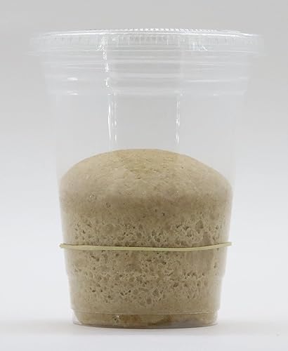 Miniatura 2 de Bakerdale Cultivo iniciador de masa madre de trigo integral orgánico deshidratado