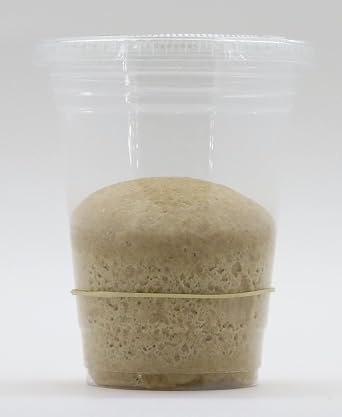 Bakerdale Dehydrated Natural Whole Wheat Sourdough Starter Culture Non-GMO, Easy Activation, Beginner Friendly | Authentic Artisan Bread Starter