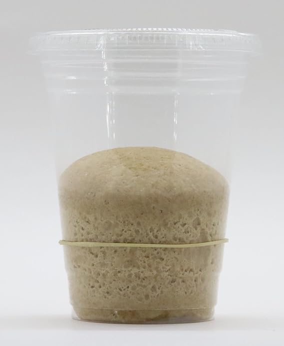 Bakerdale Dehydrated Natural Whole Wheat Sourdough Starter Culture Non-GMO, Easy Activation, Beginner Friendly | Authentic Artisan Bread Starter