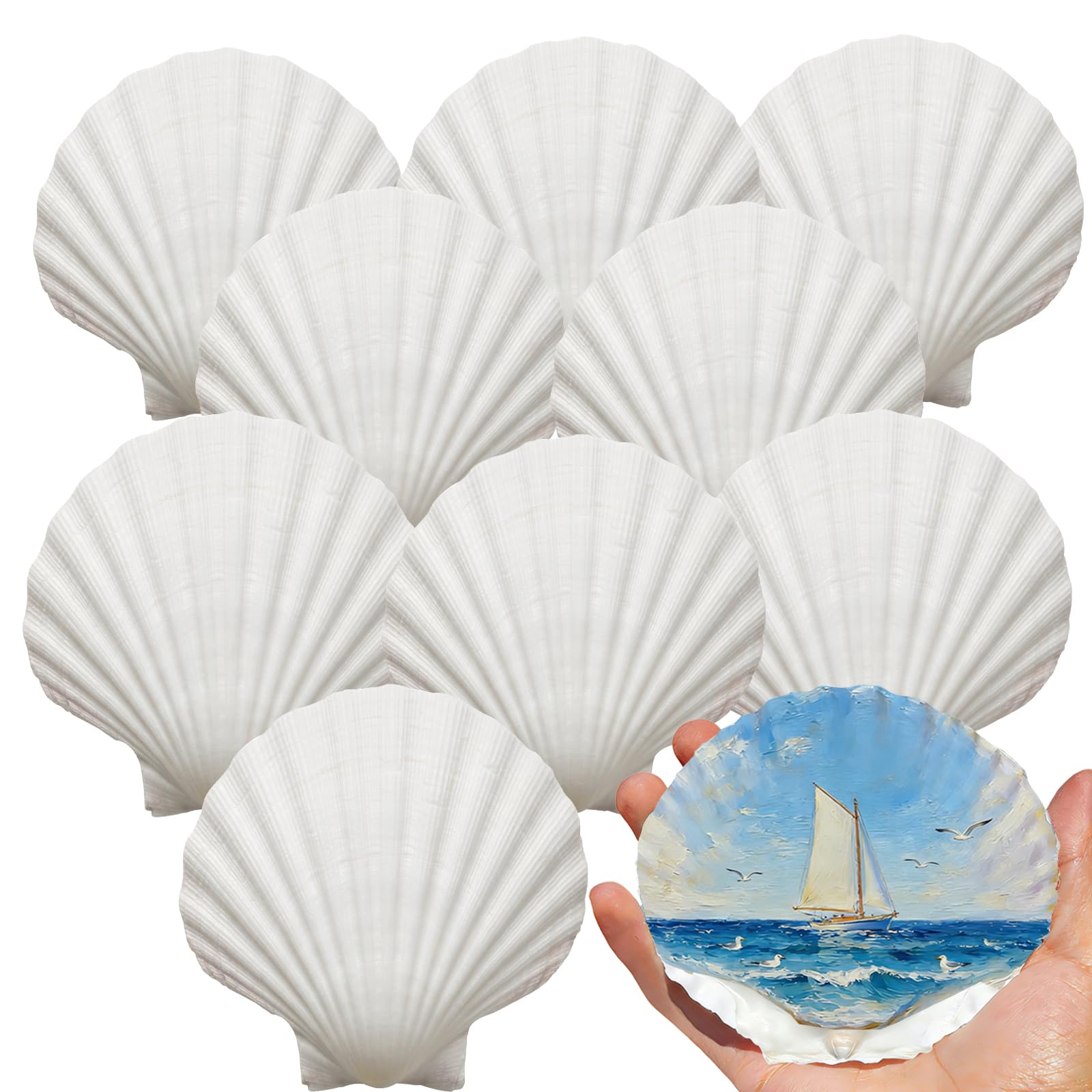 VMEECARL 20Pcs 4''-5'' Large Scallop Shells for Crafts