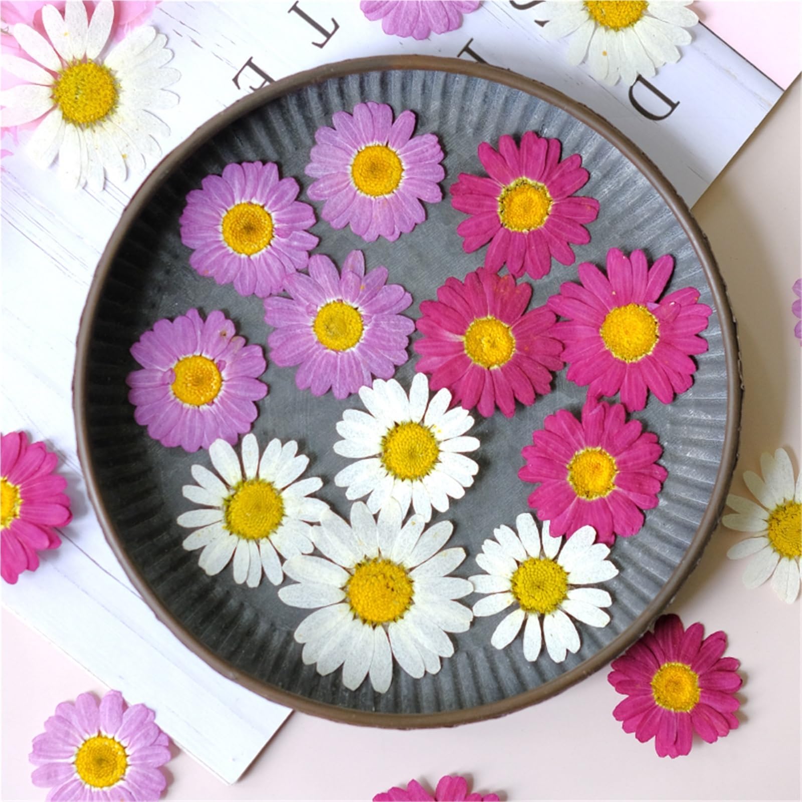 Flores Secas Prensadas 5 Bolsas de Flores secas en Relieve DIY