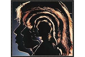 Hot Rocks 1964-1971[2 LP]