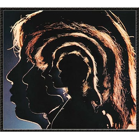 Hot Rocks 1964-1971[2 LP]