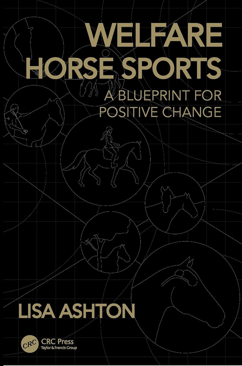 Welfare Horse Sports: A Blueprint for Positive Change      Paperback – December 11, 2025