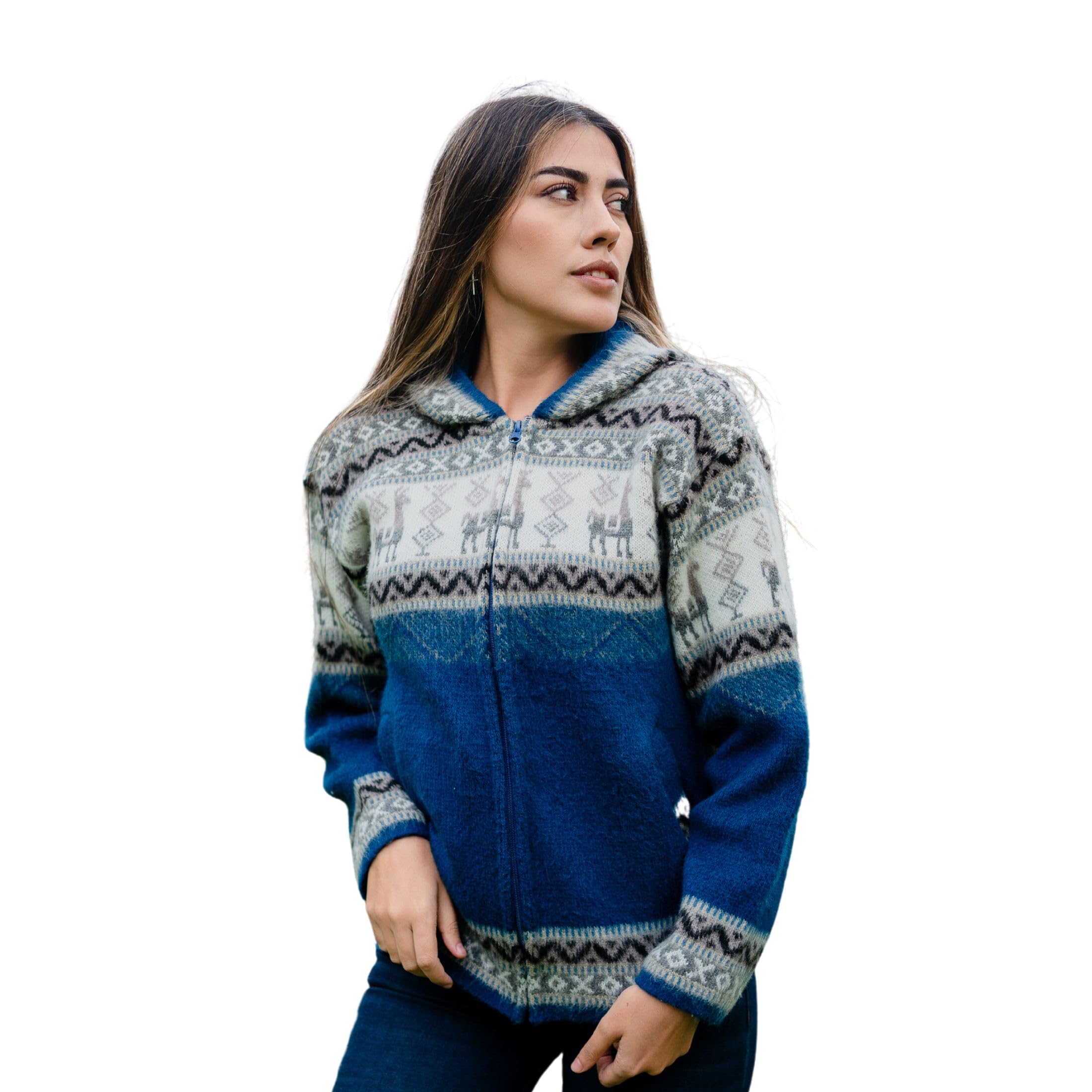 Alpaca World Zip Up Hoodie