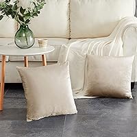 Vista 5 de GIGIZAZA Fundas de almohada decorativas de terciopelo champán, fundas de almohada para sofá (20 x 20 pulgadas, 4 unidades, champán)