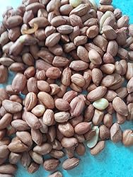 Nature's Select Peanuts Wild Bird Feed | Order At