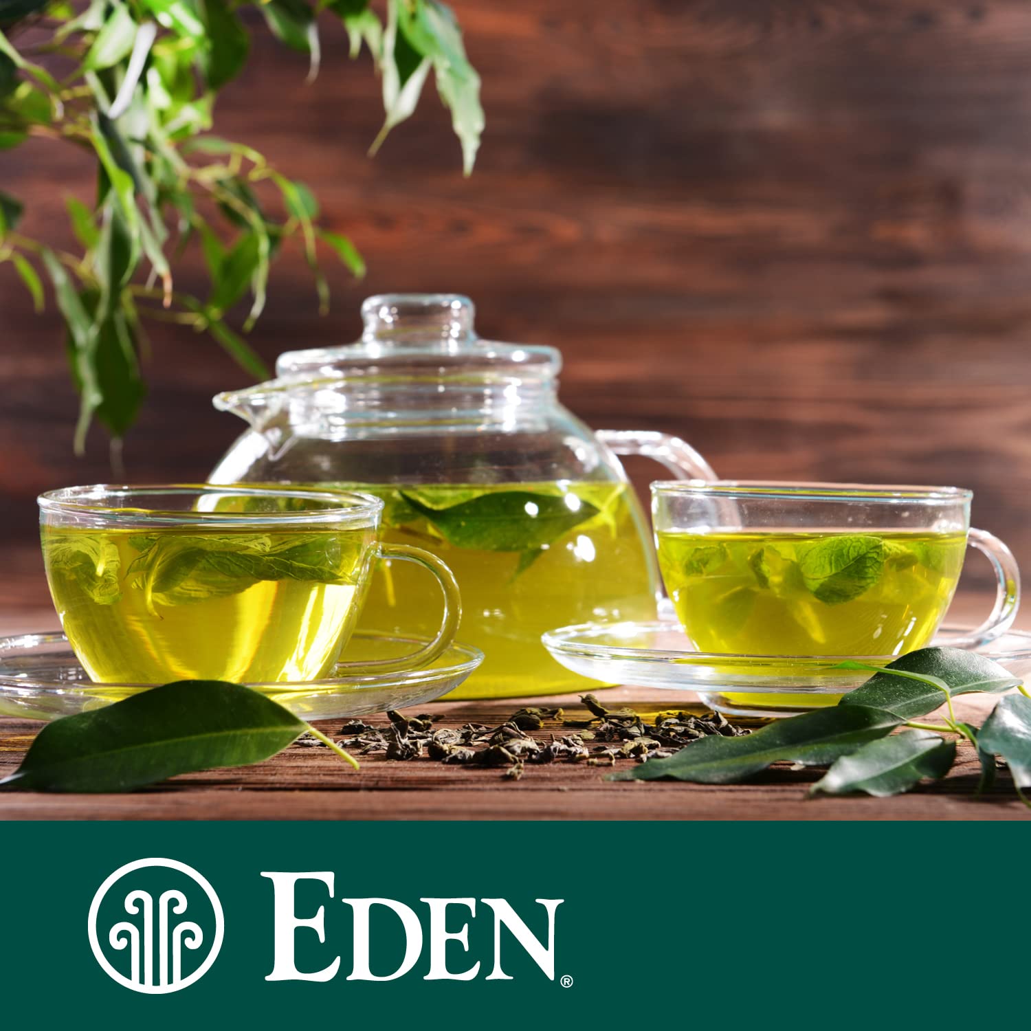 Eden Organic Japanese Sencha | Loose Leaf Green Tea | Highest Grade Uji Cha | Spring Leaves | 2.25 oz