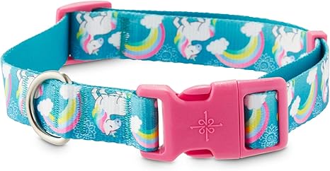 petco donut collar