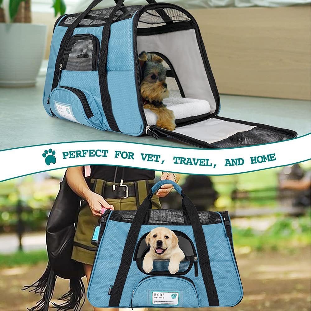 PetAmi Premium Airline Approved Soft-Sided Pet Travel Carrier | Ideal for Small - Medium Sized Cats, Dogs, and Pets | Ventilated, Comfortable Design with Safety Features (Large, Baby Blue) : Pet Supplies