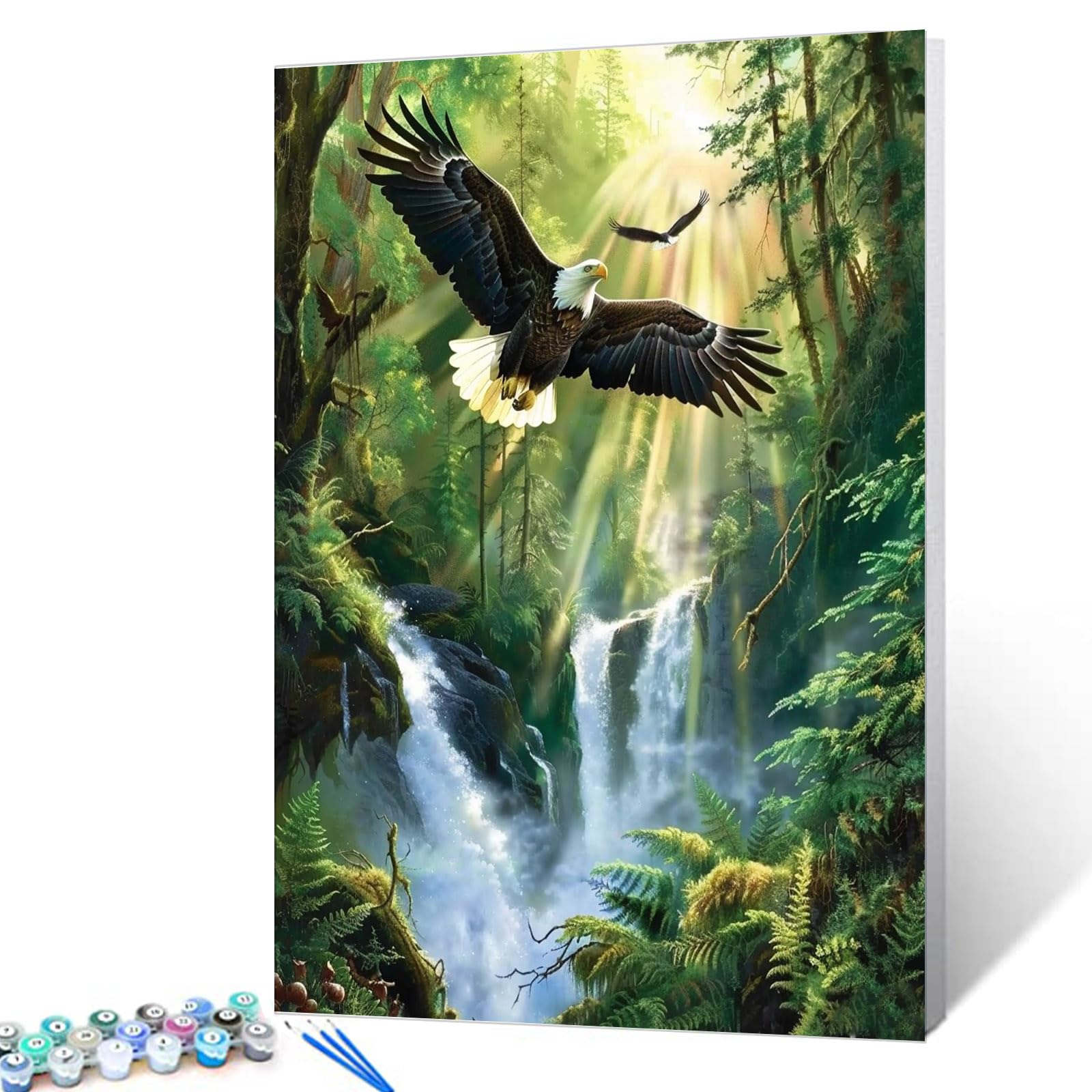 Aihonmin Nature Landscape Paint by Numbers Mountains Waterfall Paint by Numbers Kits for Adult,Beautiful Lakehouse Painting Kits on Canvas for Home