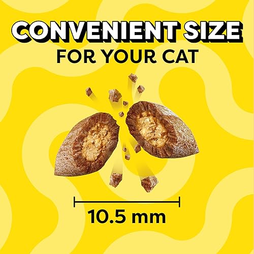 Miniatura 9 de TEMPTATIONS Classic Bocadillos crujientes y suaves para gato sabor salmón delicioso, 16 onzas Envase