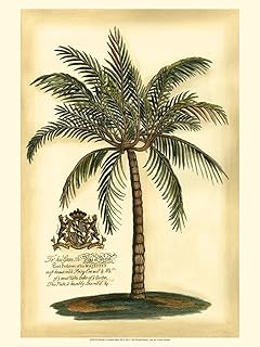ART.COM Wall Art Print British Colonial Palm III, 12" x 16"