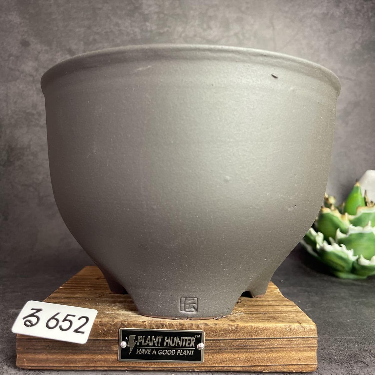 鉢 テラコッタ鉢 大型」の人気商品一覧 | 安い商品を通販サイトから