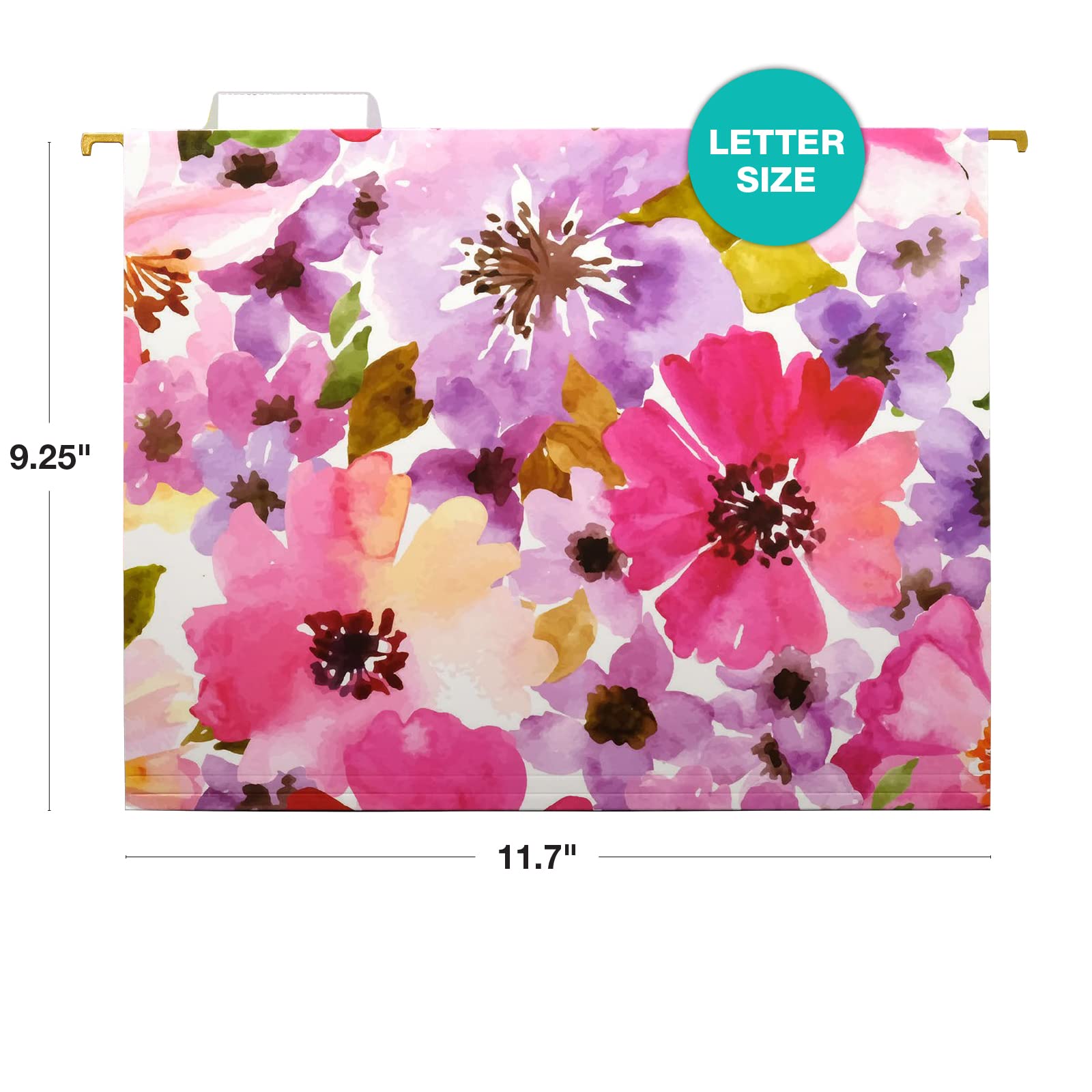 Designer File Folders Global Printed Products 12-Pack Hanging File ...
