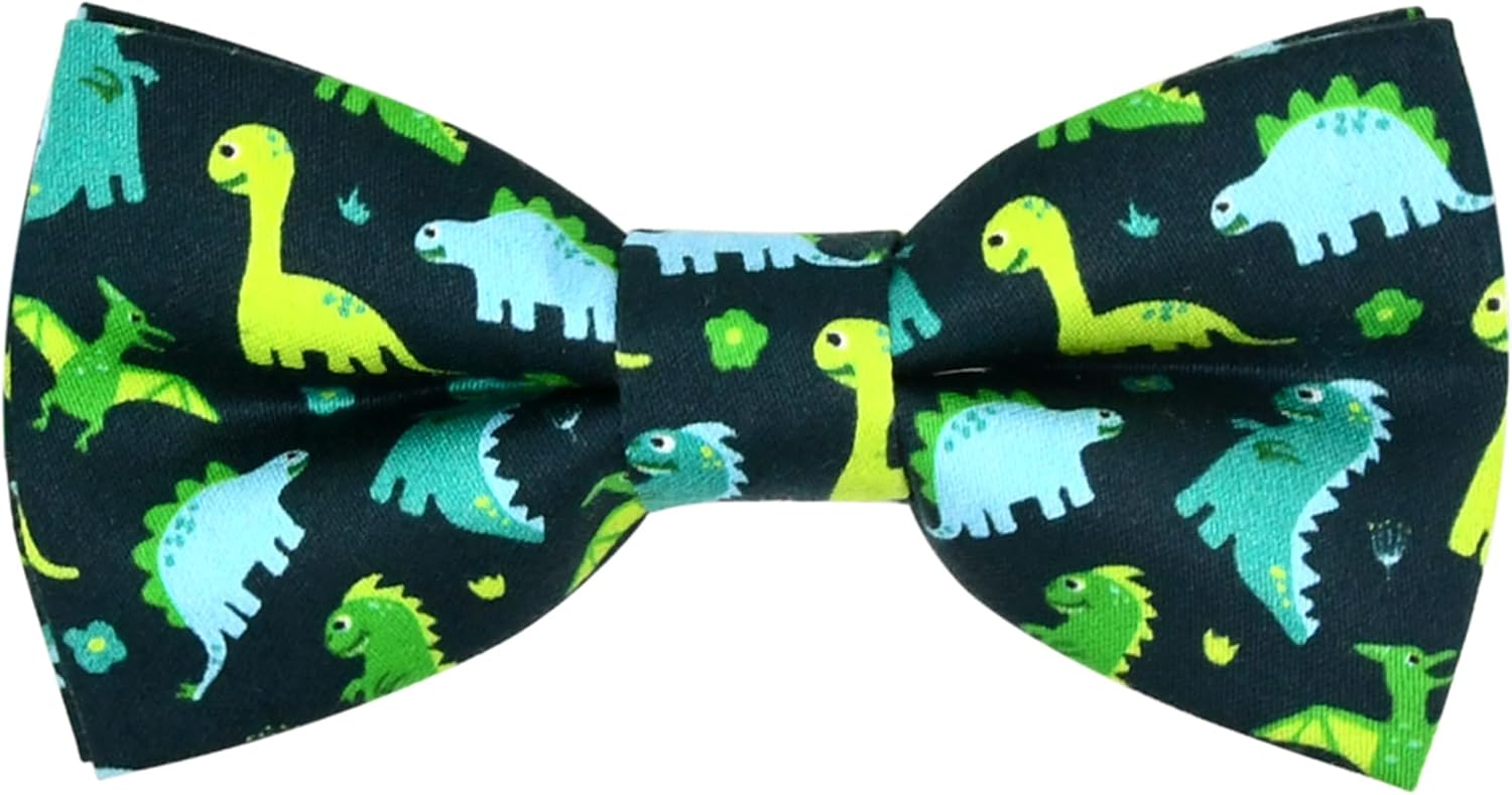 Dinosaur Boy Bow