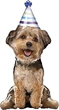 AIR Walker--Party PUPS