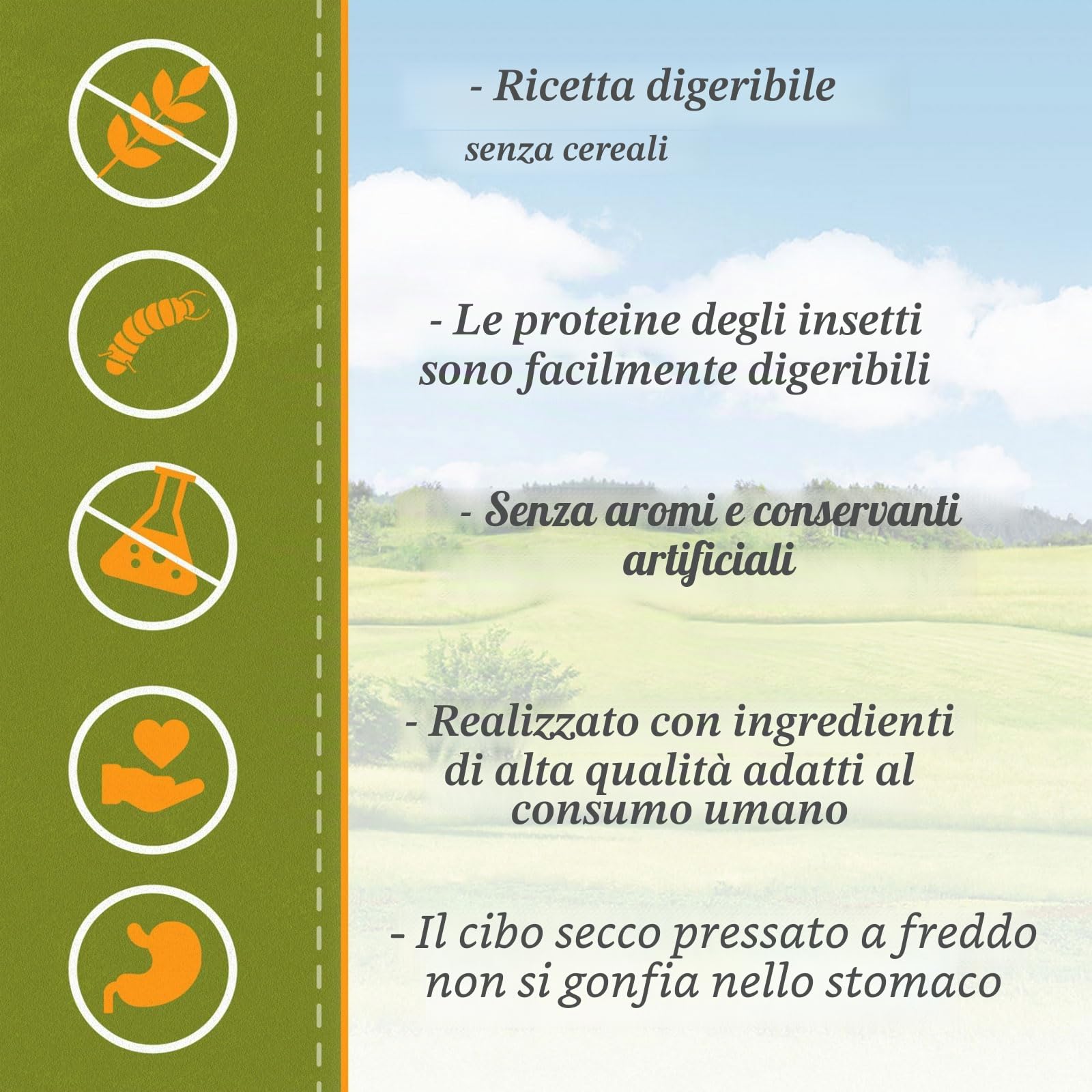 Bellfor Naturgut-Schmaus Cibo secco ipoallergenico di alta qualità spremuto a freddo per cani con insetti Senza cereali Ottimale per cani sensibili dal punto di vista nutrizionale 10 kg