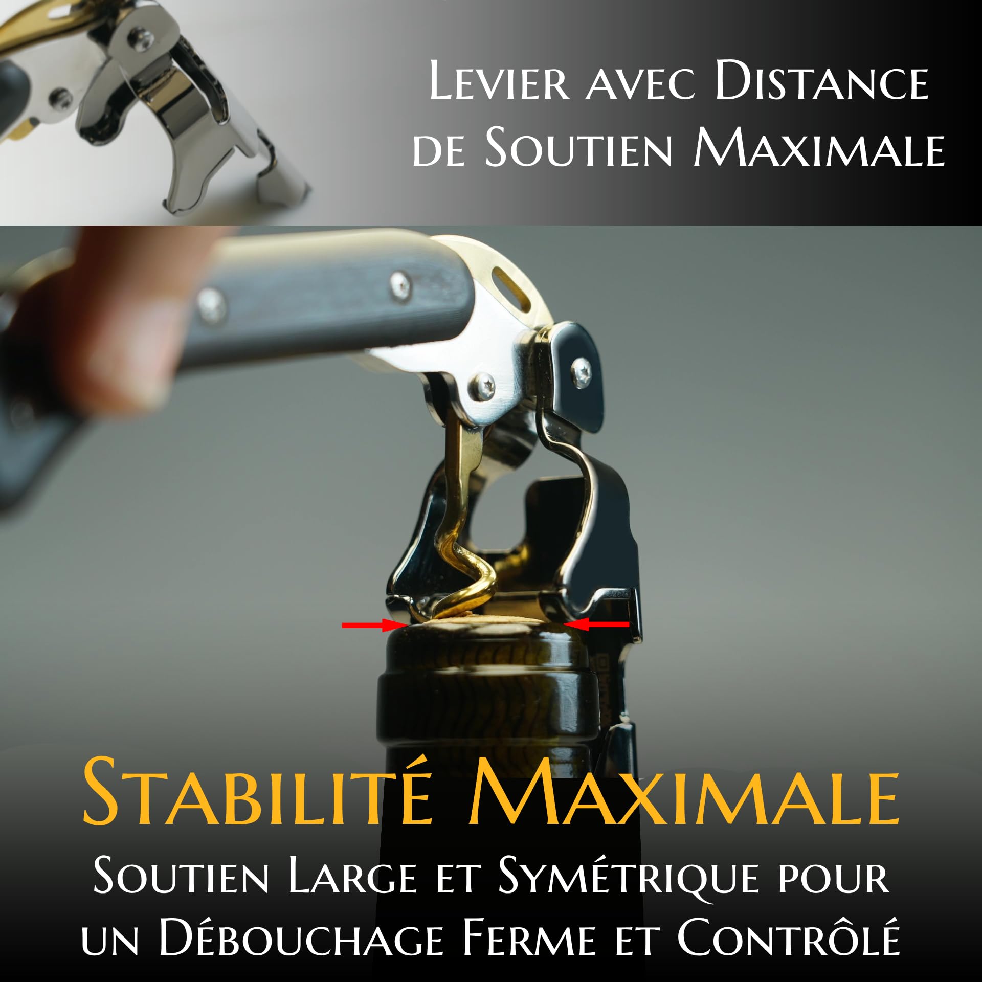 Tire-Bouchon pour Professionnels - FALCORK 249 Protection - À 2 Étapes avec Levier Fixe et Bascule Anti-Casse de Bouteille, Conçu pour un Débouchage Fluide et Contrôlé des Bouchons Longs Jusqu'à 49 mm