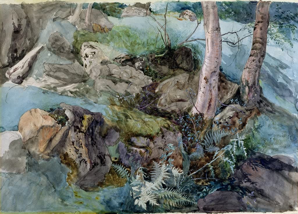 Cuadro de lienzo premium John Ruskin 60x90cm con estudio de rocas y helechos 5