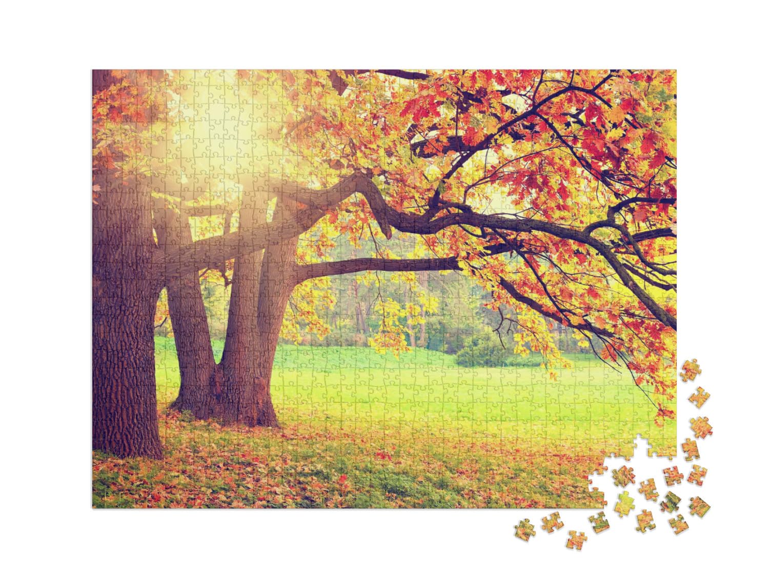 Puzzle 1000 pièces XXL « Paysage d'automne avec de Vieux Arbres »