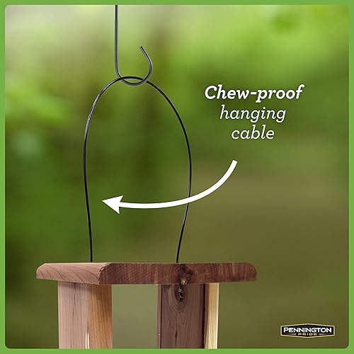 Miniatura 5 de Comedero para pájaros de cedro