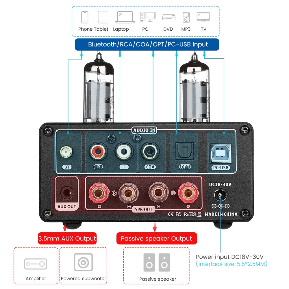 Rear panel connections of AIYIMA TUBE T9 ampஆயுள்