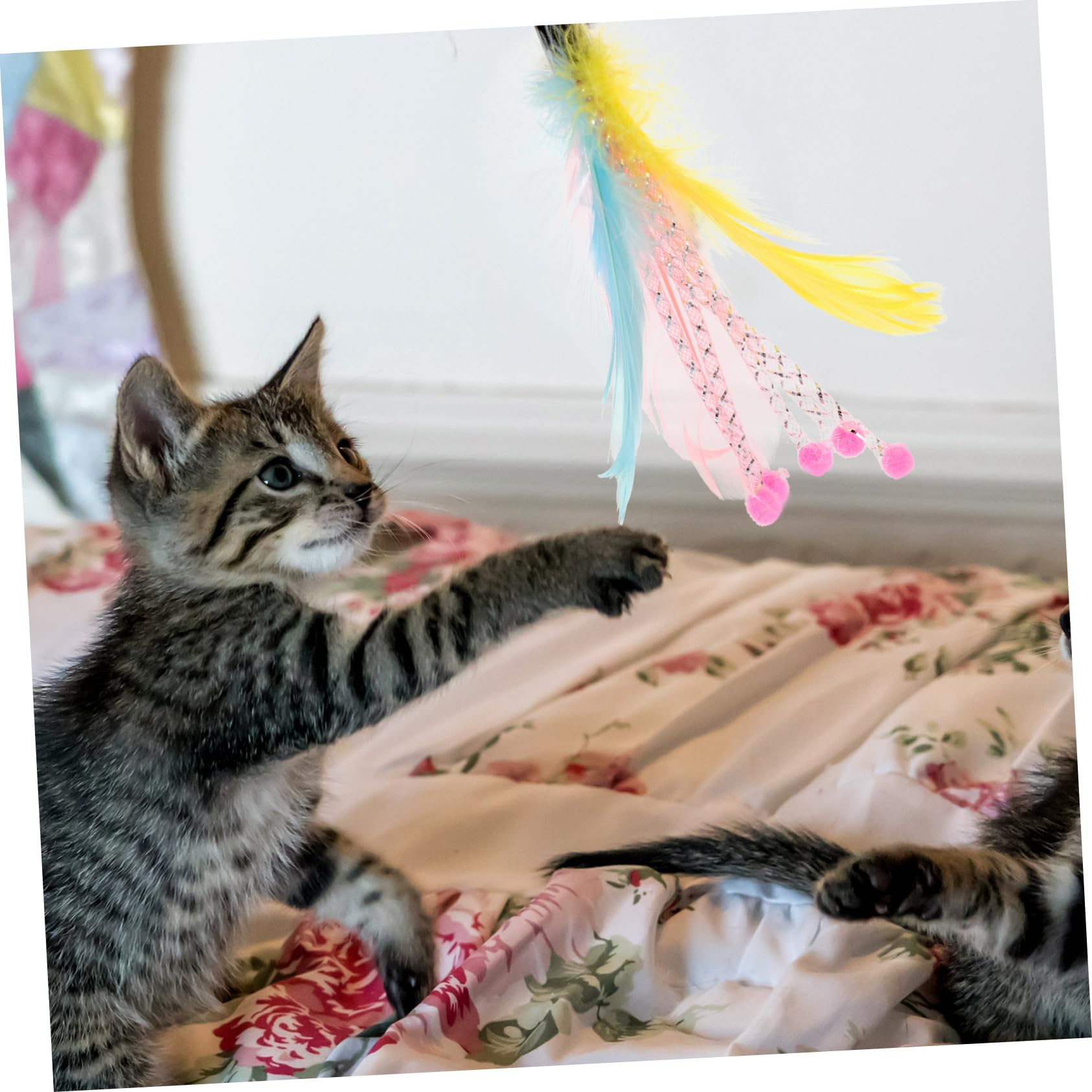 Kisangel 24pièces Jouets à Canne Multifonction pour Chats Remplacements De Plumes Interactives pour Jouets à Filer Teaser