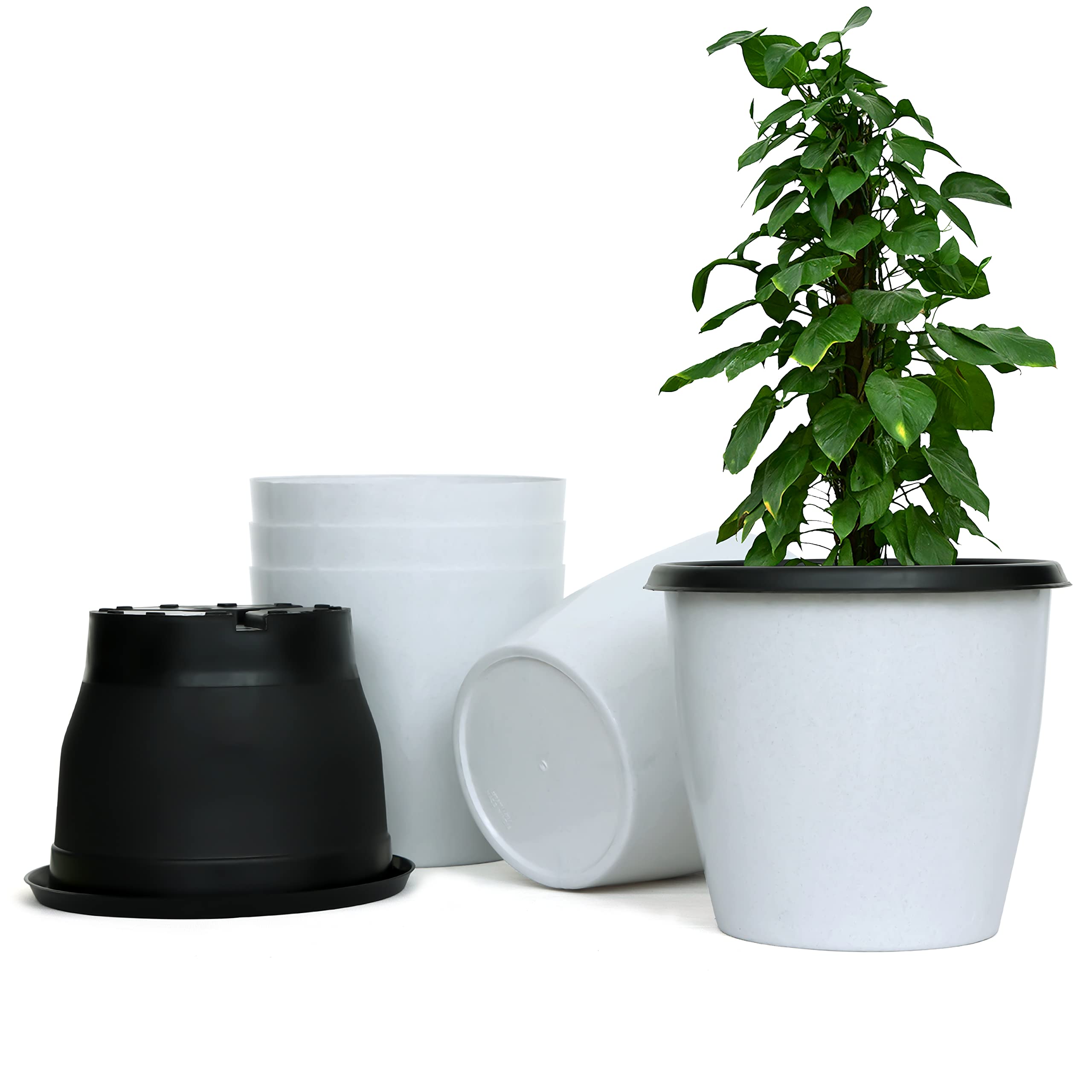 Livzing 10 Inch Plant Pot Pack of 5 (10 Pots) | Self Watering Indoor Pot | White Outer and Black Inner Flower Pot | UnFadable - Low Maintenance Gamla | Suitable for Home Indoor and Balcony Plants