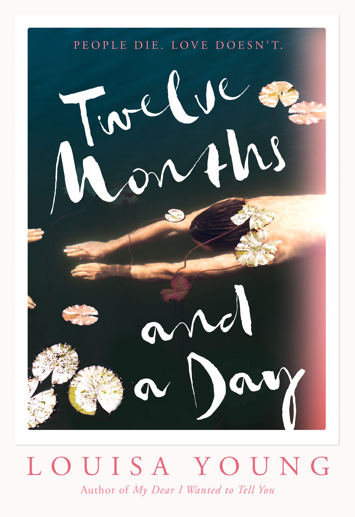 Twelve Months and a Day: Breathtaking new fiction from the Costa Novel Award shortlisted author